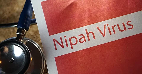 Nipah