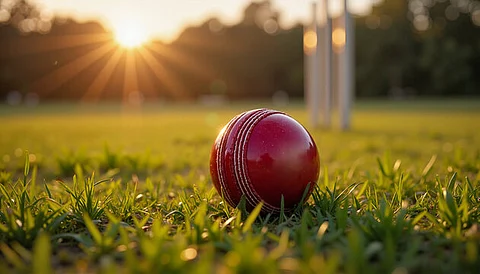 cricket