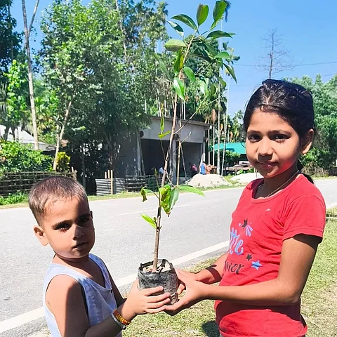 Green Drive in Sonitpur: Balijuri Students Plant 100+ Saplings to Beat the Heat