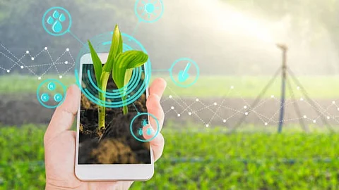Digital Crop Survey
