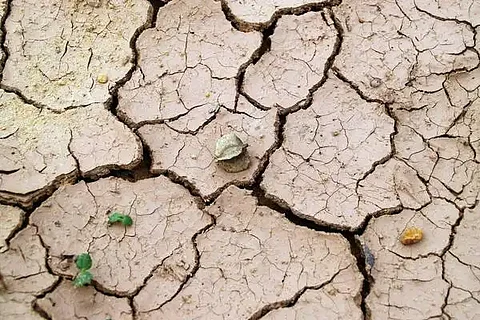 drought