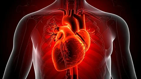 cardiovascular risk