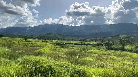 farmlands