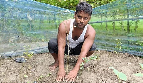 Darrang farmer