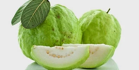 Guava