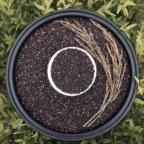 purple rice
