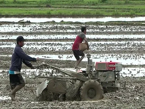 Manipur’s rural economy