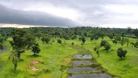 Tripura to set up six eco-parks to boost tourism, protect forests: Minister