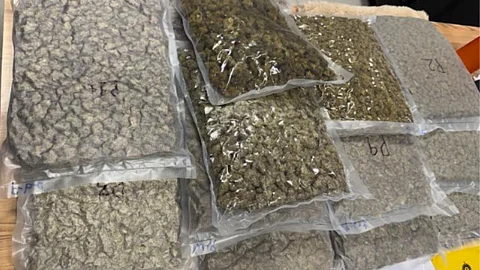 High-Grade Hydroponic Weed Worth Rs. 6.12 Crore Seized at Pune Airport