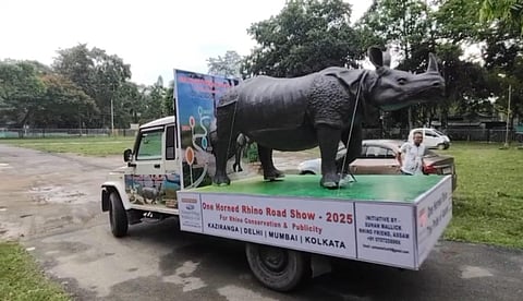 Rhino Friend