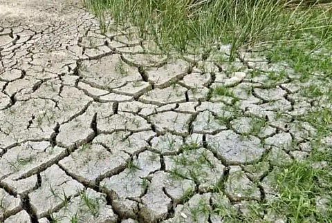 Climate change