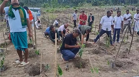 Plantation Drive Begins in Uriamghat’s Rengma Forest With 15,000 Saplings Over 60 Hectares