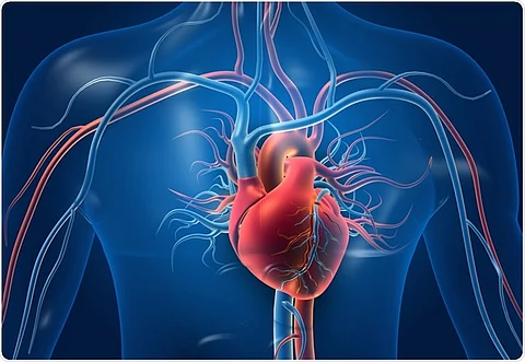 heart risks