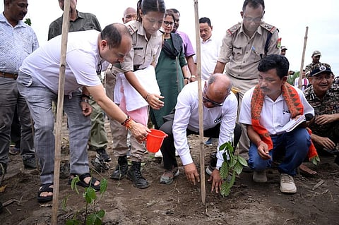 Rengma Reserve Forest