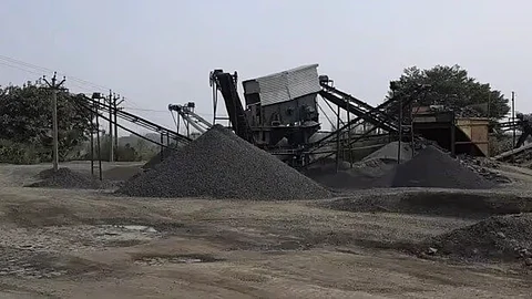 illegal coal