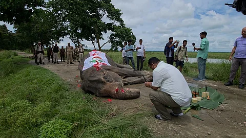 ‘Mohanmala’
