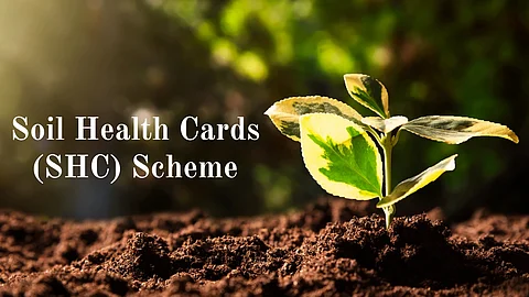 Soil Health Cards