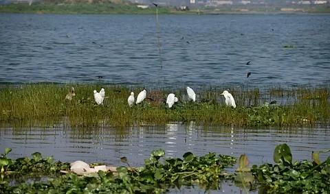 Deepor Beel