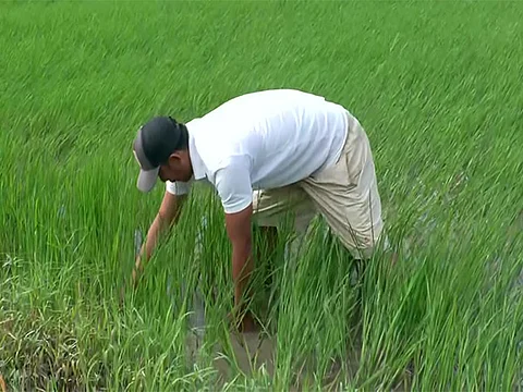 Agrarian crisis