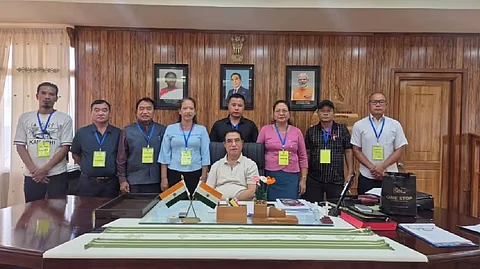 Mizoram Expands Rubber Mission with Additional 173 Hectares Under Phase 2