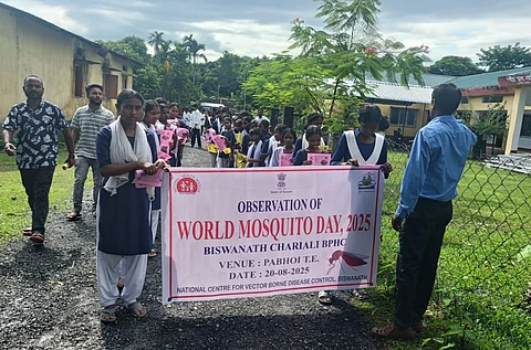 World Mosquito Day