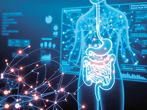 gut bacteria