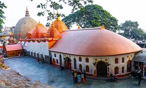 Shakta literature