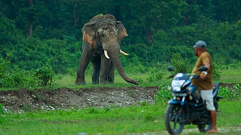 Assam–Meghalaya border