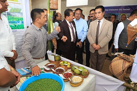 Mizoram CM Lalduhoma Inaugurates 3rd Mithun Day And National Seminar At Thenzawl