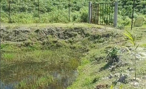 Image of Amrit Sarovar gradually turning into dirty pond
