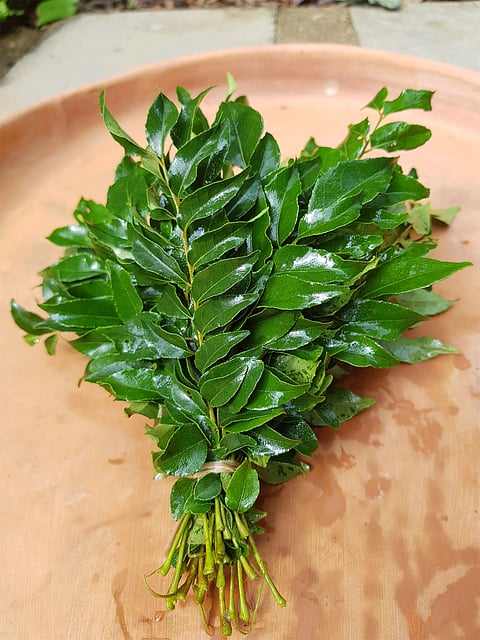 Curry Leaves