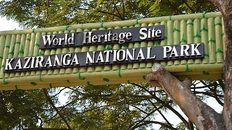 Kaziranga National Park