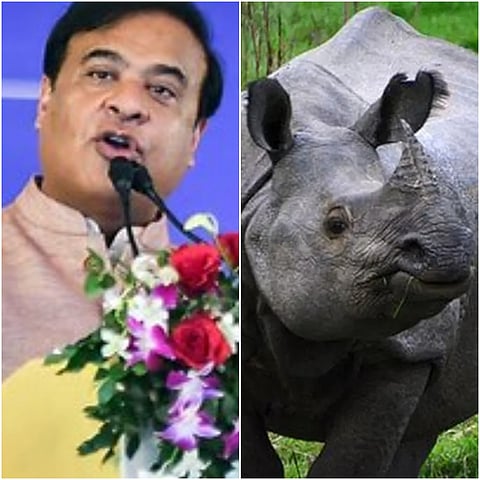 File photo of Assam CM Himanta Biswa Sarma on the left and Kaziranga's One-Horned Rhino on the right
