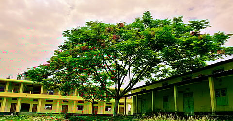 Chatia College