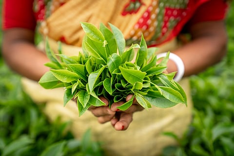 Dibrugarh