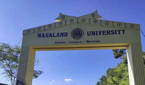 Nagaland University