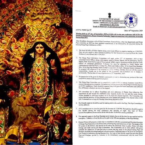 Image of SOP and Durga Puja Mandap