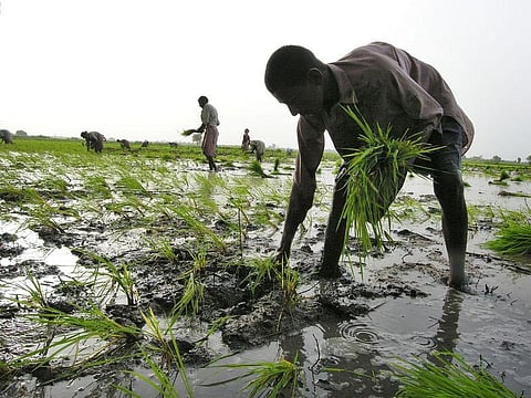 farmers