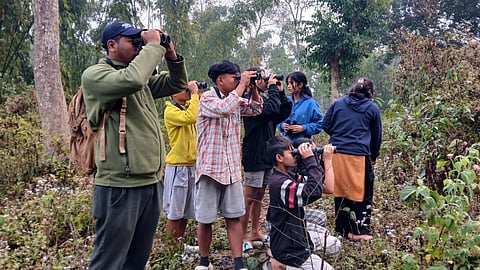 Kaziranga–Karbi Anglong landscape