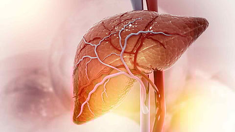 Liver fat