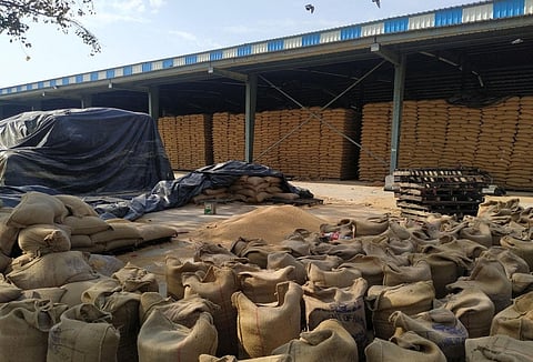 foodgrain storage capacity