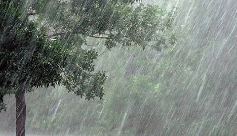Heavy Rains