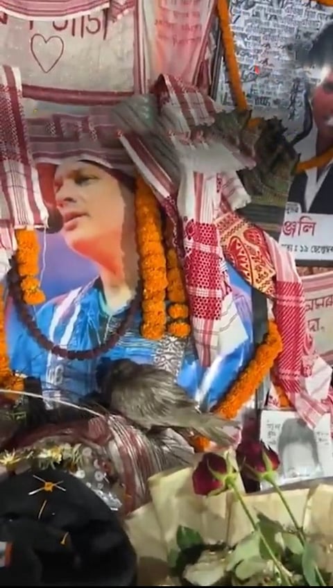 Image of the pigeon with teary eyes resting near Zubeen Garg's photo in the midnight