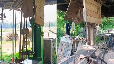 Image of Illegal Timber Mills