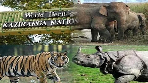 प्रोजेक्ट टाइगर एंड एलीफेंट