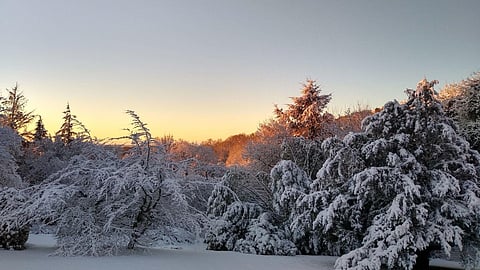 Colder winter