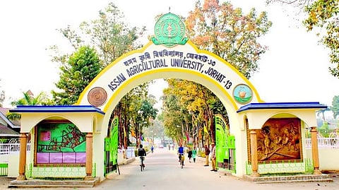 Agri-Biodiversity Fair