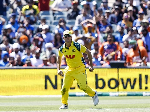 T20I series against India really good test of Australia’s batting style: McDonald