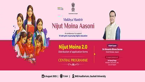 Nijut Moina 2.0 scheme