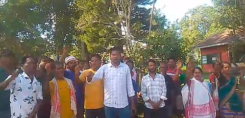 Bimalapur Tea Estate